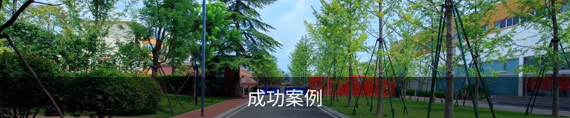 成功案例